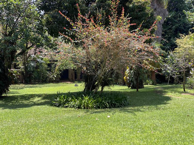 Manor on Lower Kabete - Lower Garden